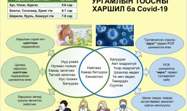 Манай оронд ургамлын цэцэглэлт, тоос хүртэх улирал 6-9 сард үргэлжилдэг.