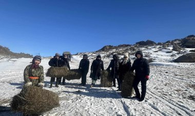 “СЭТГЭЛ ШИНГЭСЭН НЭГ БООДОЛ ӨВС” аянд Эрүүл мэндийн газар нэгдлээ